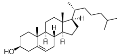 Cholesterol Crystals structure invivogen