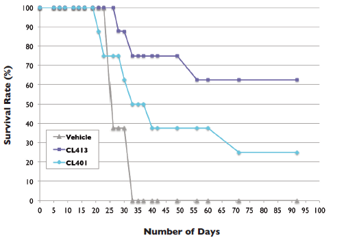 Survival curves for untreated as well as CL413- or CL401-treated mice