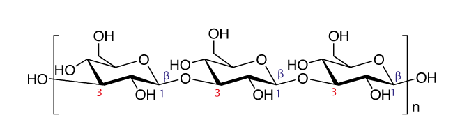 Partial structure of Curdlan
