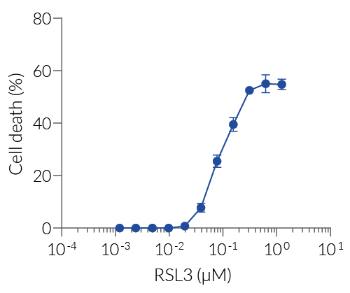 Ferroptosis induction by RSL3 (LDH readout)