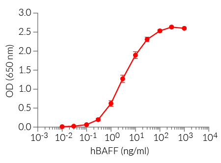 Dose-response of HEK-Blue™ BCMA cells to recombinant human BAFF