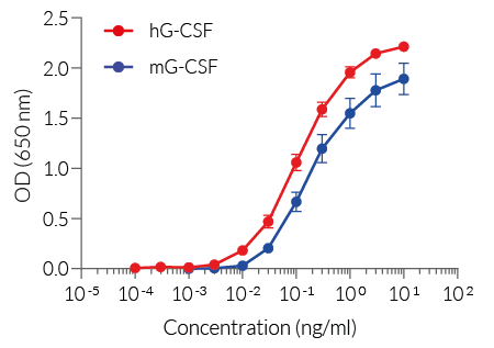 Cellular response to G-CSF