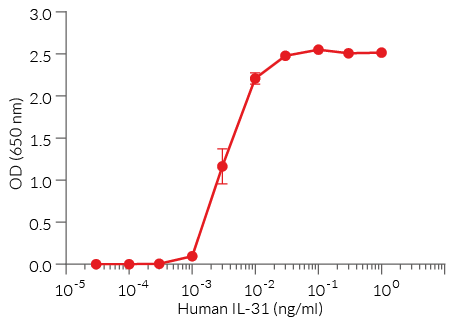 HEK-Blue™ IL-31 cellular response to recombinant human IL-31