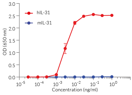 Dose-response of HEK-Blue™ IL-31 cells to recombinant IL-31