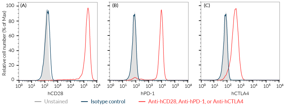 Validation of human CD28, CTLA4, and PD-1 expression by Jurkat-Lucia™ TCR-hCTLA4-hPD-1 cells