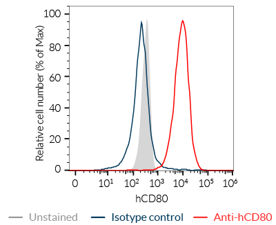 Validation of endogenous human CD80 expression by Raji-APC-Null cells