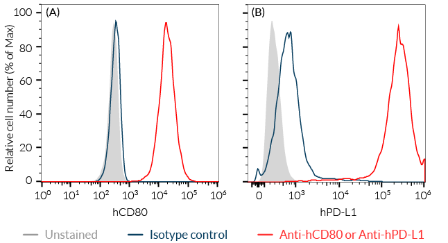 Validation of human CD80 and PD-L1 expression by Raji-APC-hPDL1-derived cells