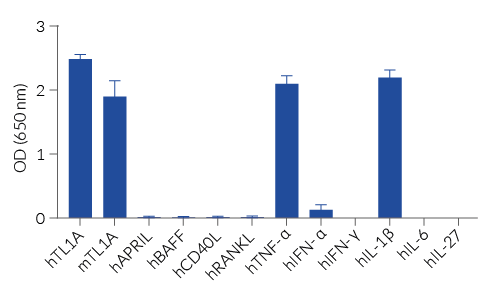 Response of HEK-Blue™ TL1A cells to a panel of cytokines