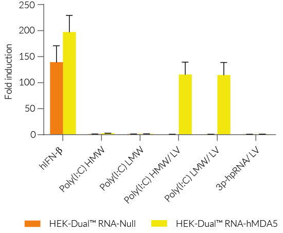 Functional validation of HEK-Dual™ RNA-MDA5 cells (IRF responses)