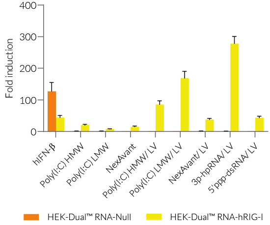 Functional validation of HEK-Dual™ RNA-RIG-I cells (IRF responses)