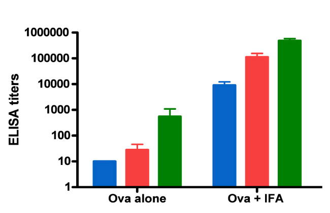 Anti-Ova mIgG levels at 15, 30 and 45 days after the initial immunization with IFA