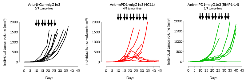 Tumor growth after treatment with different Anti-mPD-1 mAbs