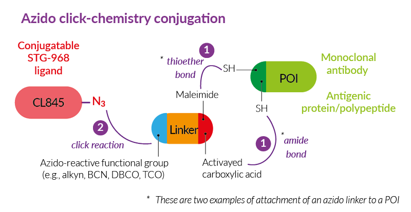 Bioconjugation using STG-968