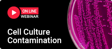 Webinar Cell Culture Contamination