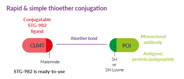 Bioconjugation using STG-982