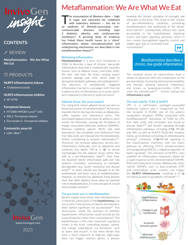 Insight newsletter - Metaflammation