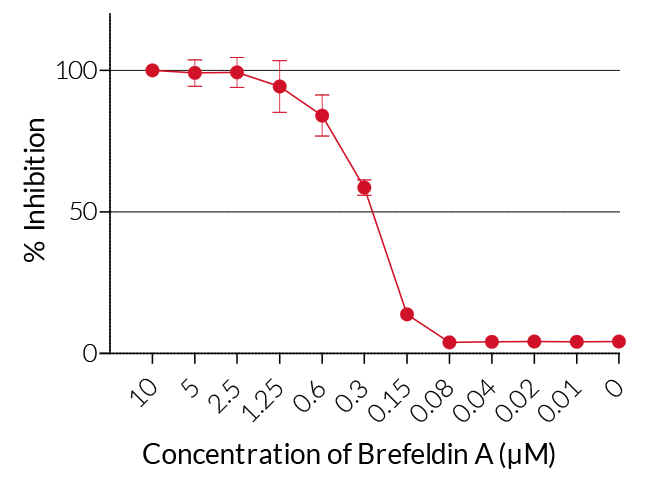 Brefeldin A inhibits STING protein translocation