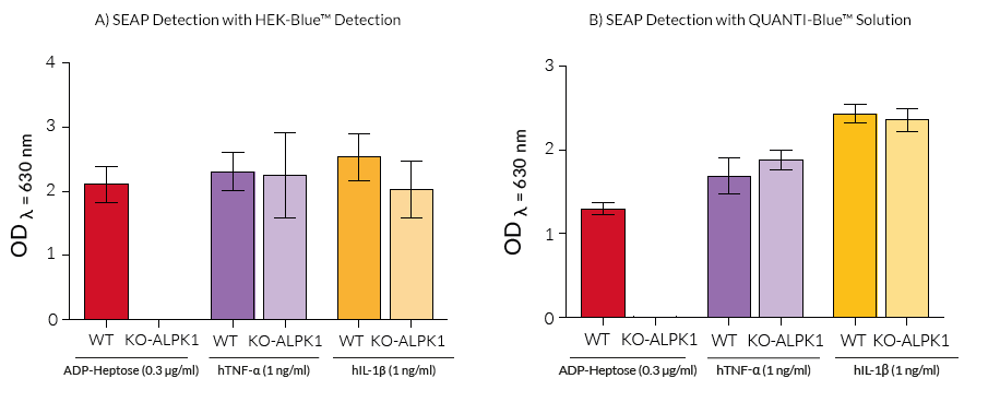 Functional validation of KO-ALPK1 cells 