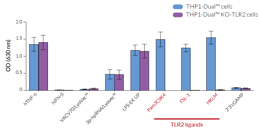 NF-κB responses in THP1-Dual™ KO-TLR2 cells