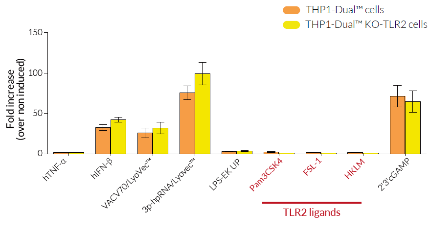 IRF responses in THP1-Dual™ KO-TLR2 cells