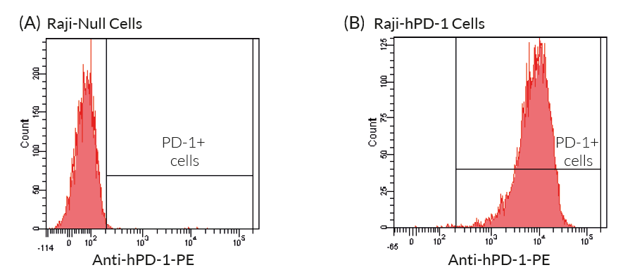 Validation of the expression of human PD-1 by Raji-hPD-1 cells
