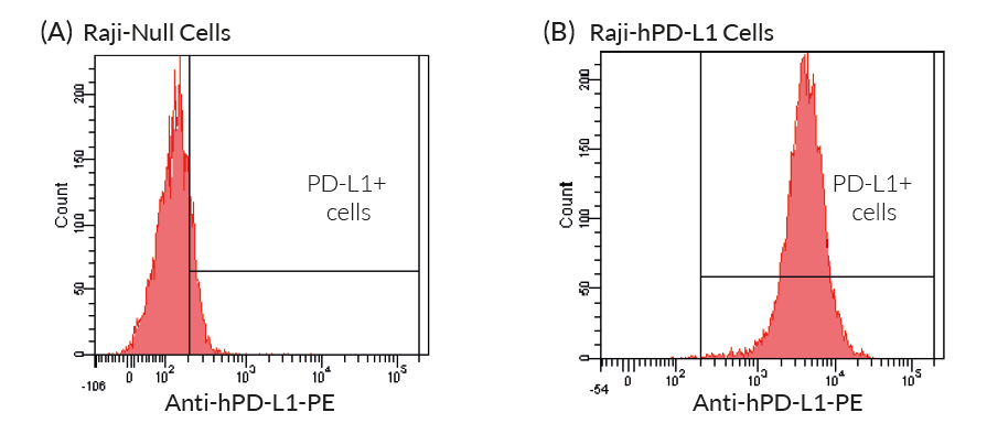 Validation of the expression of human PD-L1 by Raji-hPD-L1 cells