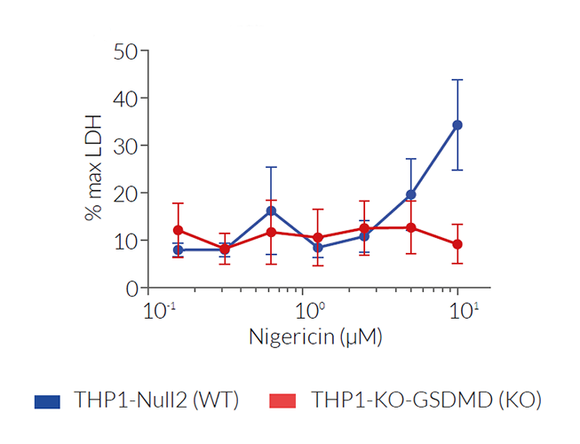 Altered pyroptosis of THP1-KO-GSDMD cells
