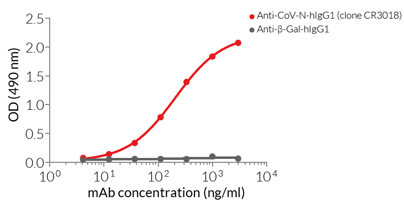 Binding of Anti-CoV-N-hIgG1 to SARS-CoV-2 nucelocapsid by ELISA