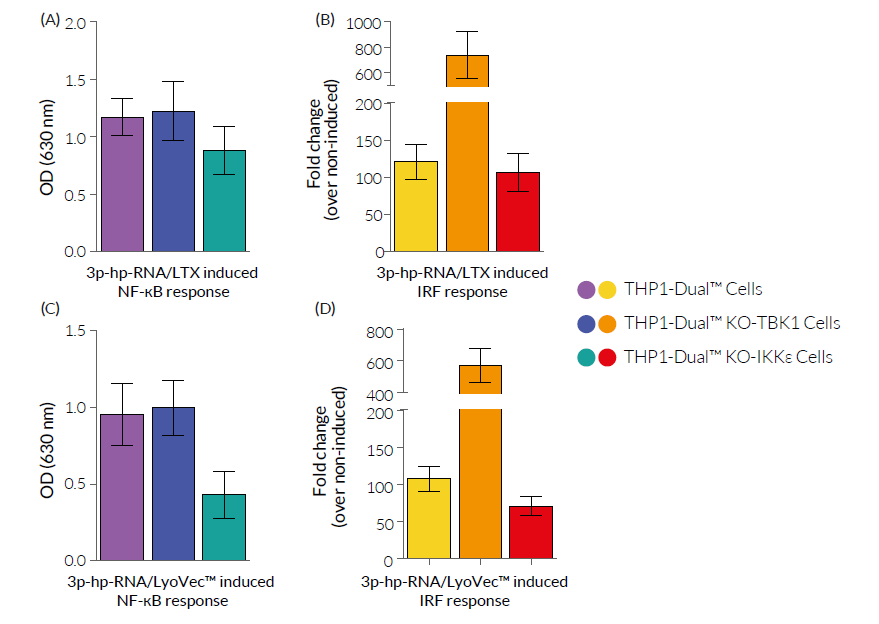 RNA-induced responses in THP1-Dual™ KO-IKKε cells
