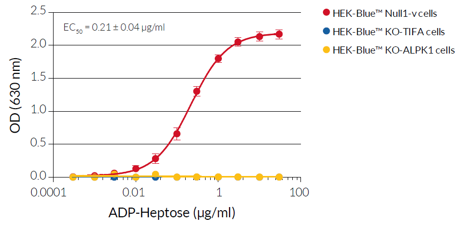Functional validation of ADP-Heptose