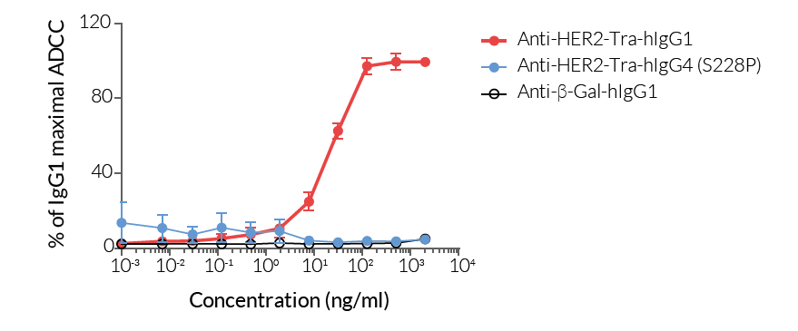 Comparison of ADCC potency for native and engineered anti-HER2 antibody isotypes.