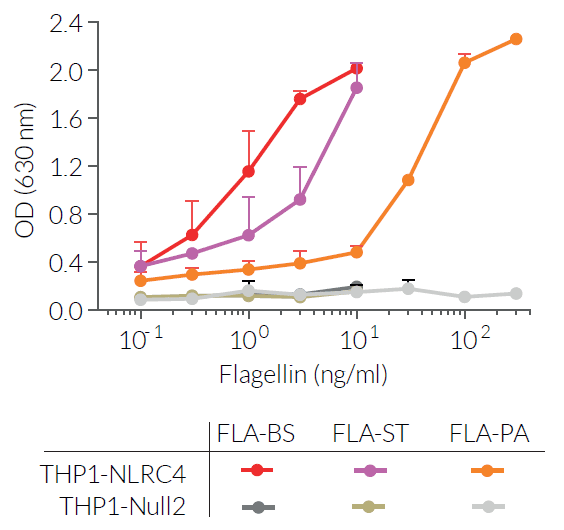 Inflammasome response using different Flagellins