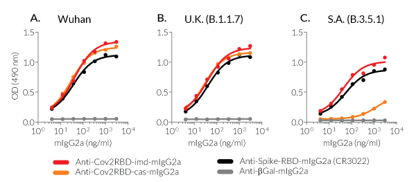 ELISA with Anti-CoV2RBD-(cas or imd)-mIgG2a mAbs