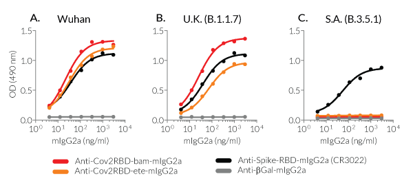 ELISA with Anti-CoV2RBD-(bam or ete)-mIgG2a mAbs