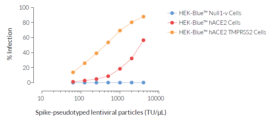 Infection with Spike-pseudotyped lentiviral particles