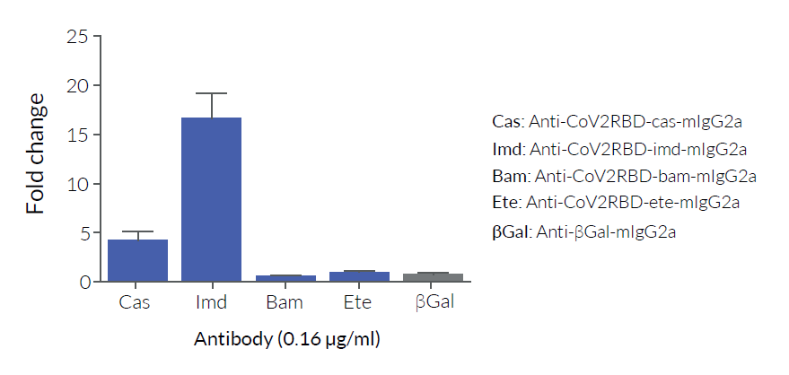 RBD-LuciaV3 (B.1.351) for Luciferase-based ELISA