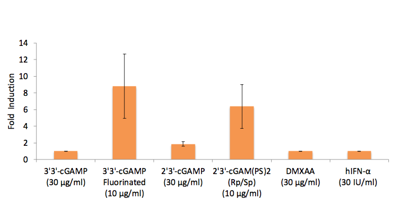 IFN-β induction (Lucia luciferase reporter)