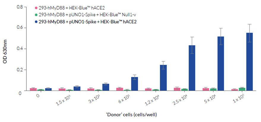 Assessing cell fusion with 293-hMyD88 Cells