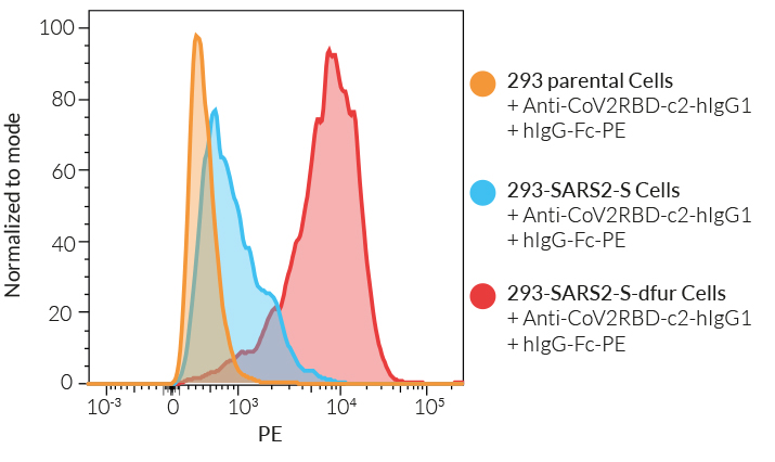 Spike detection in 293-SARS2-S-dfur Cells by flow cytometry