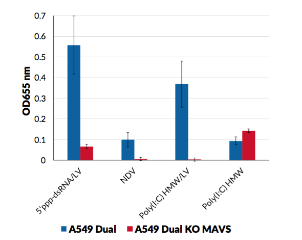 NF-κB INDUCTION (SEAP reporter)