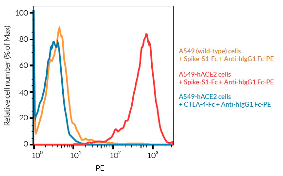 Validation of ACE2 surface expression on A549-hACE2 cells by FACS