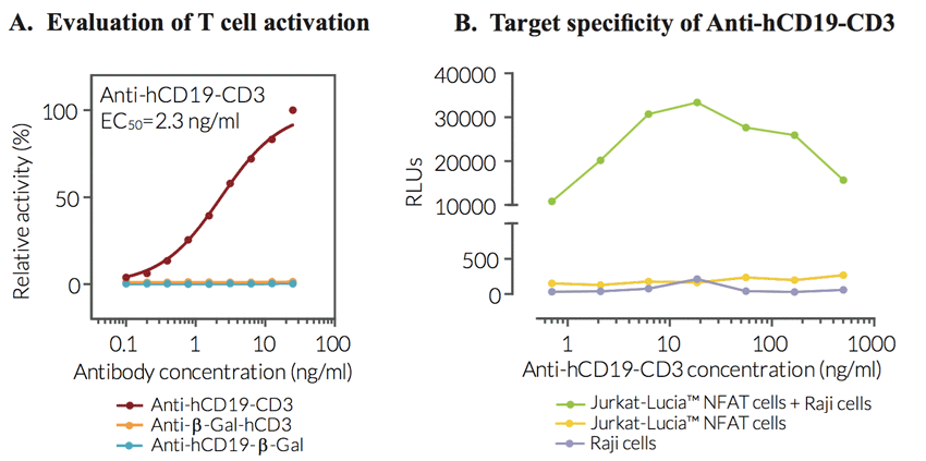 Activation of Jurkat-Lucia™ NFAT cells with Anti-hCD19-CD3