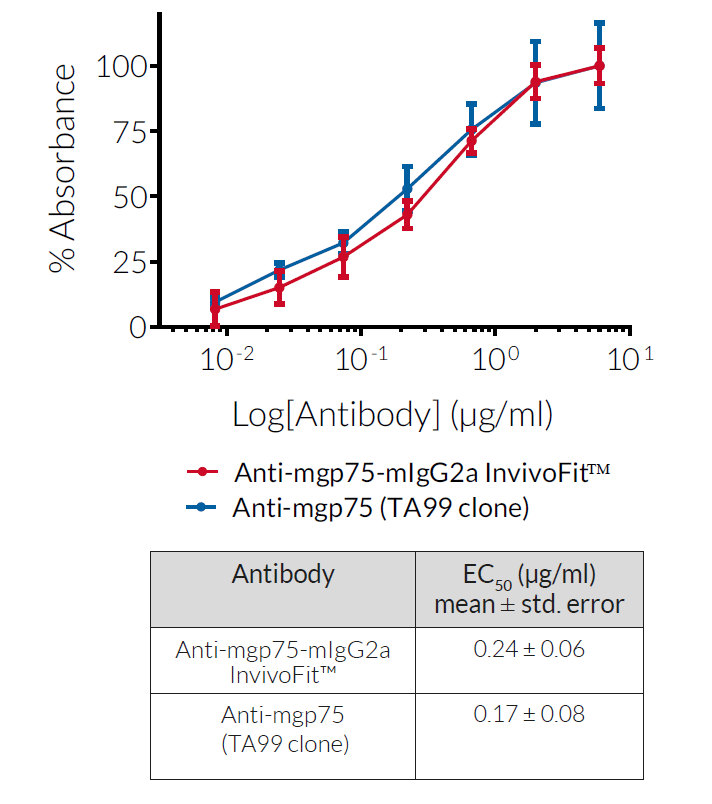 Evaluation of Anti-mgp75-mIgG2a binding to mgp75 (TYRP1)