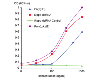 RIG-I response to 5`ppp-dsRNA and 5`ppp-dsRNA Control in B16-Blue™ ISG cells