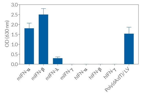 Cell line specificity of B16-Blue™ IFN-α/β cells