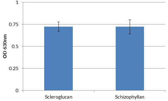 Evaluation of Scleroglucan and Schizophyllan in HEK-Blue™ hDectin-1b cells