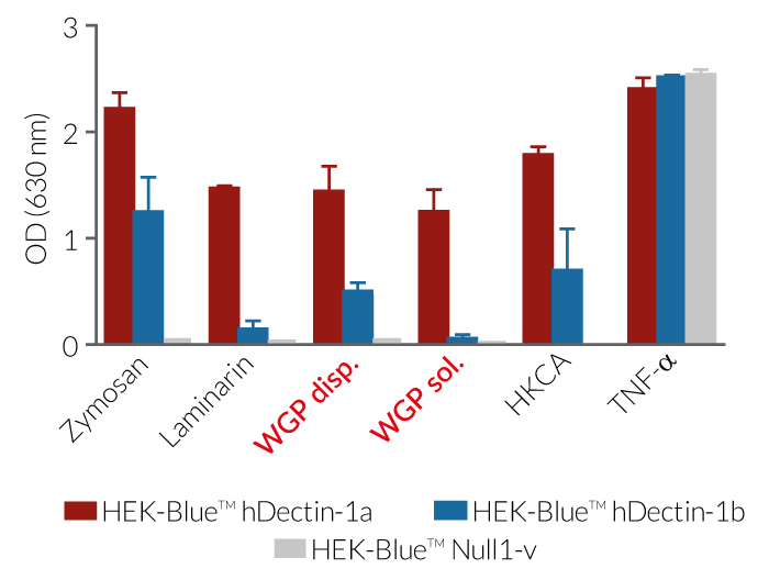 Evaluation of NF-κB responses in HEK-Blue™ hDectin-1 cells