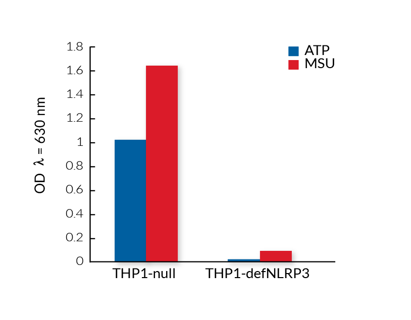 Reduced mature IL-1β secretion by THP1-defNLRP3 cells