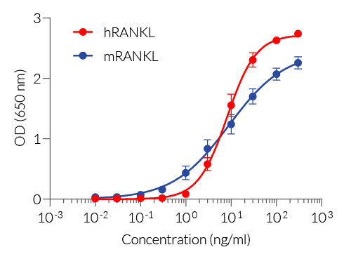 Evaluation of cellular response to RANKL