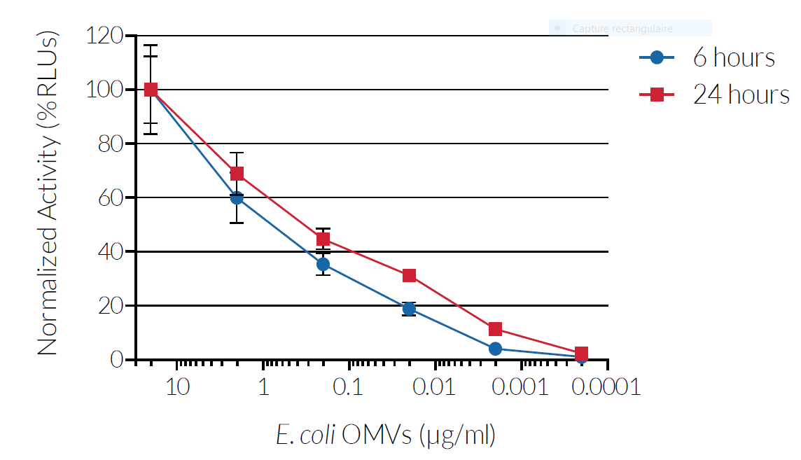 Evaluation of E. coli OMVs on a pyrotosis reporter cell line